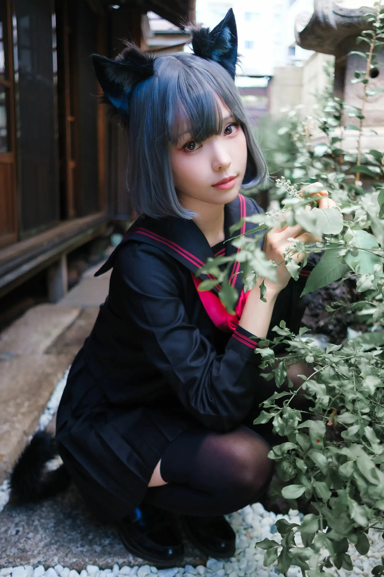 Ely_eee (ElyEE子) - Veranda Black Cat緣廊黑貓