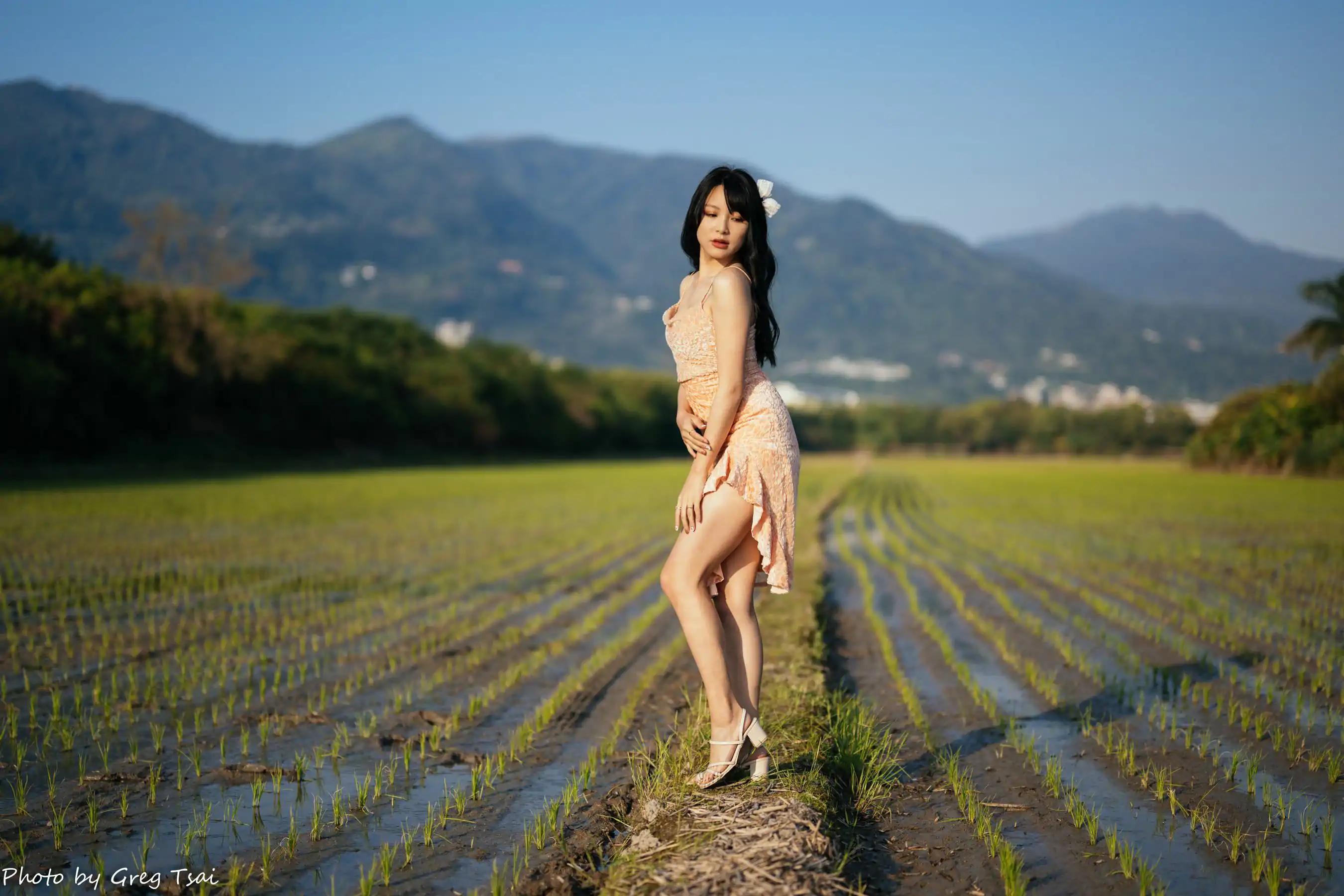 Ashley - 忠义