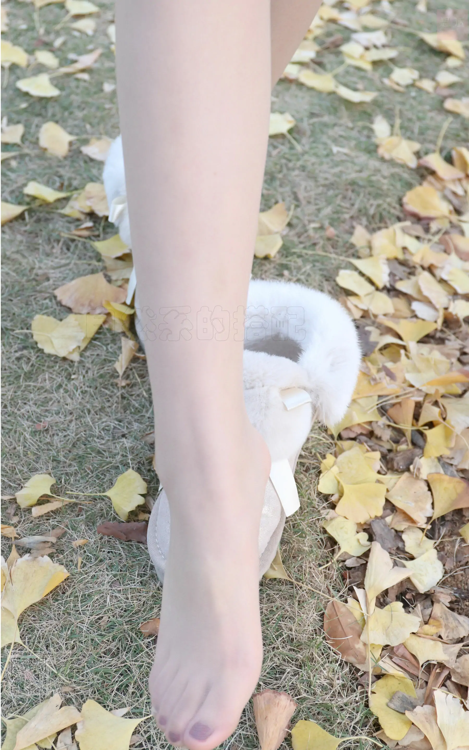 [思话SiHua] SH068 表妹 冬天也总有这样恬静的时光