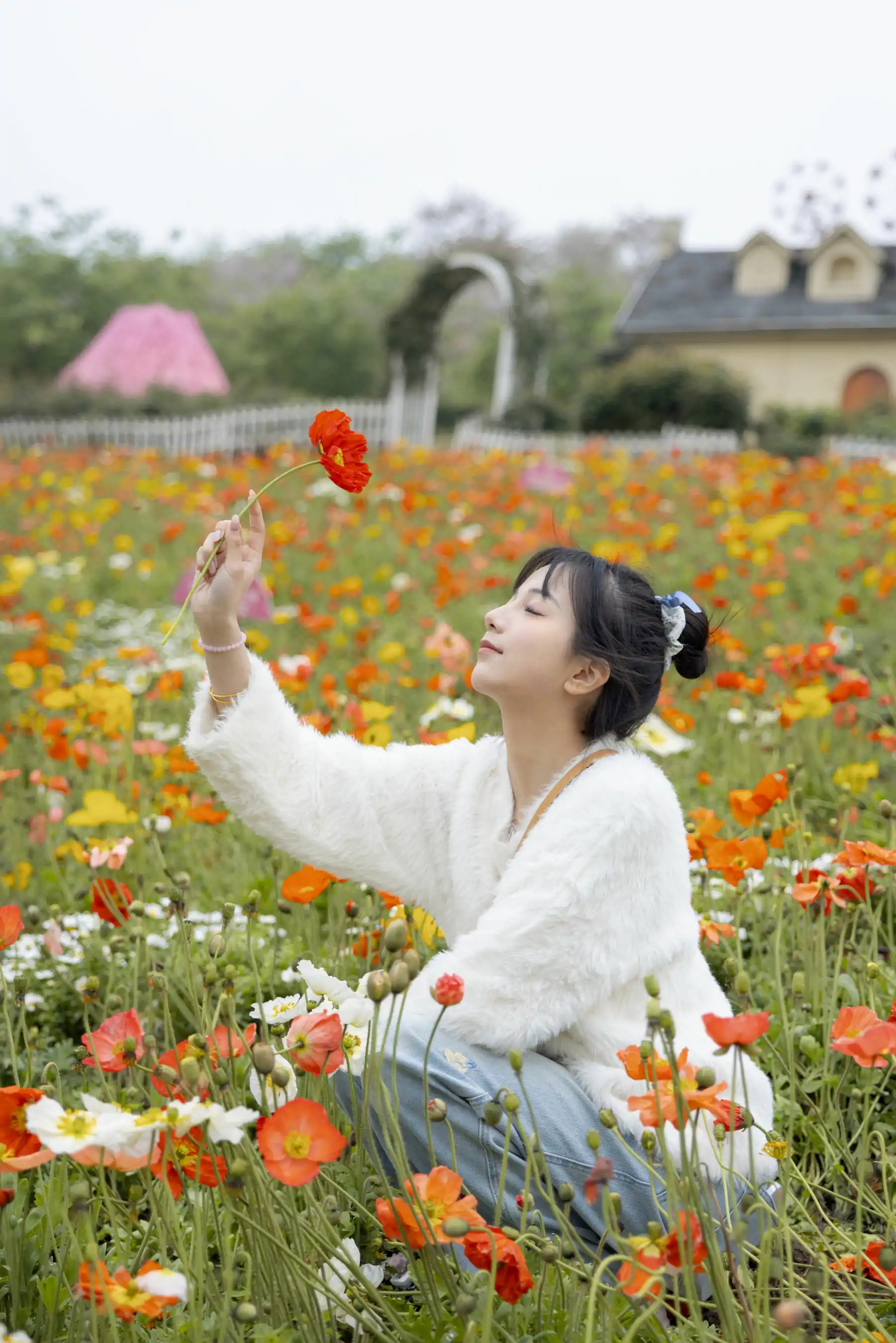 她们印象 No.006 天天