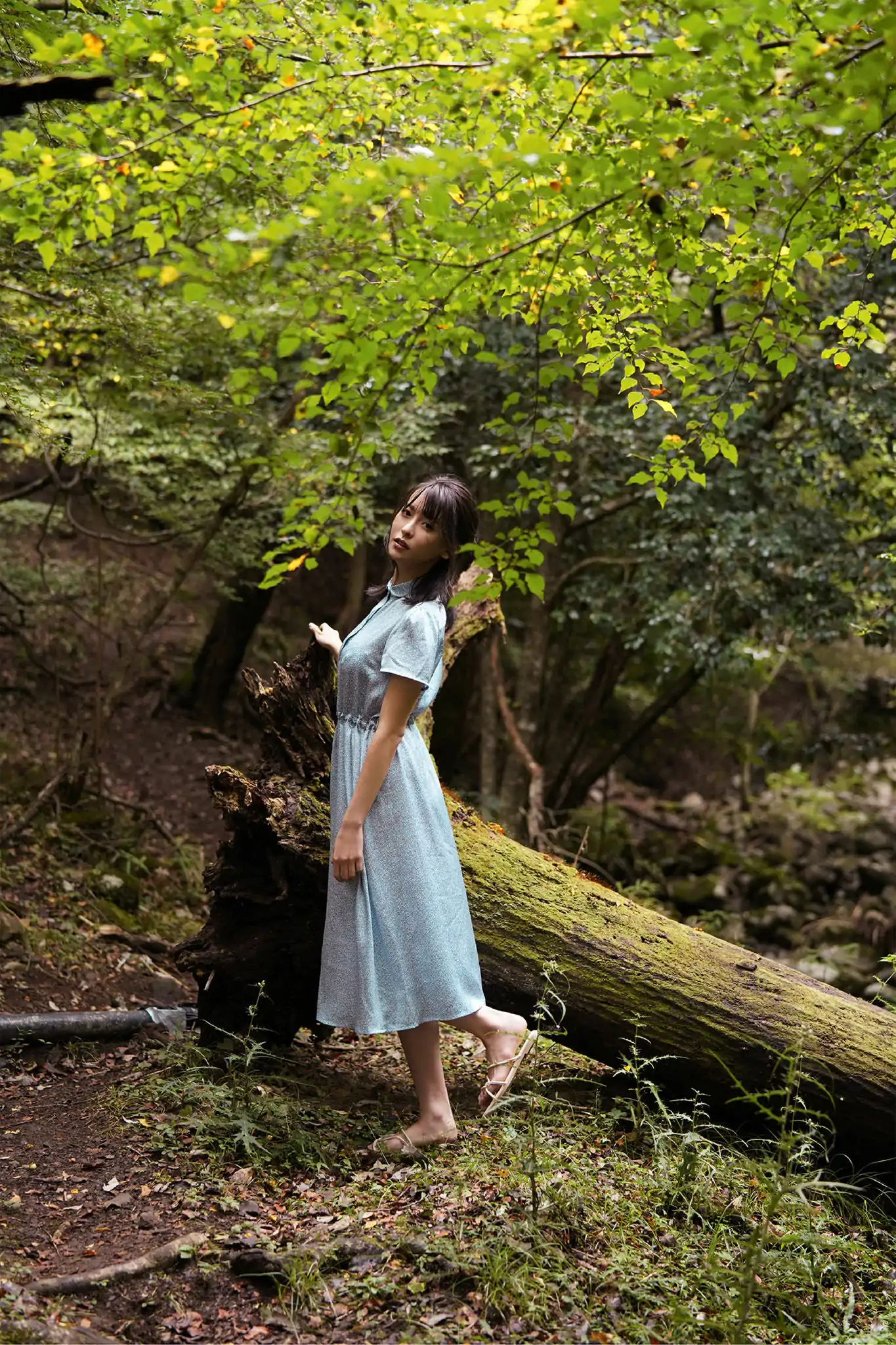 奈月セナ - たまゆらA