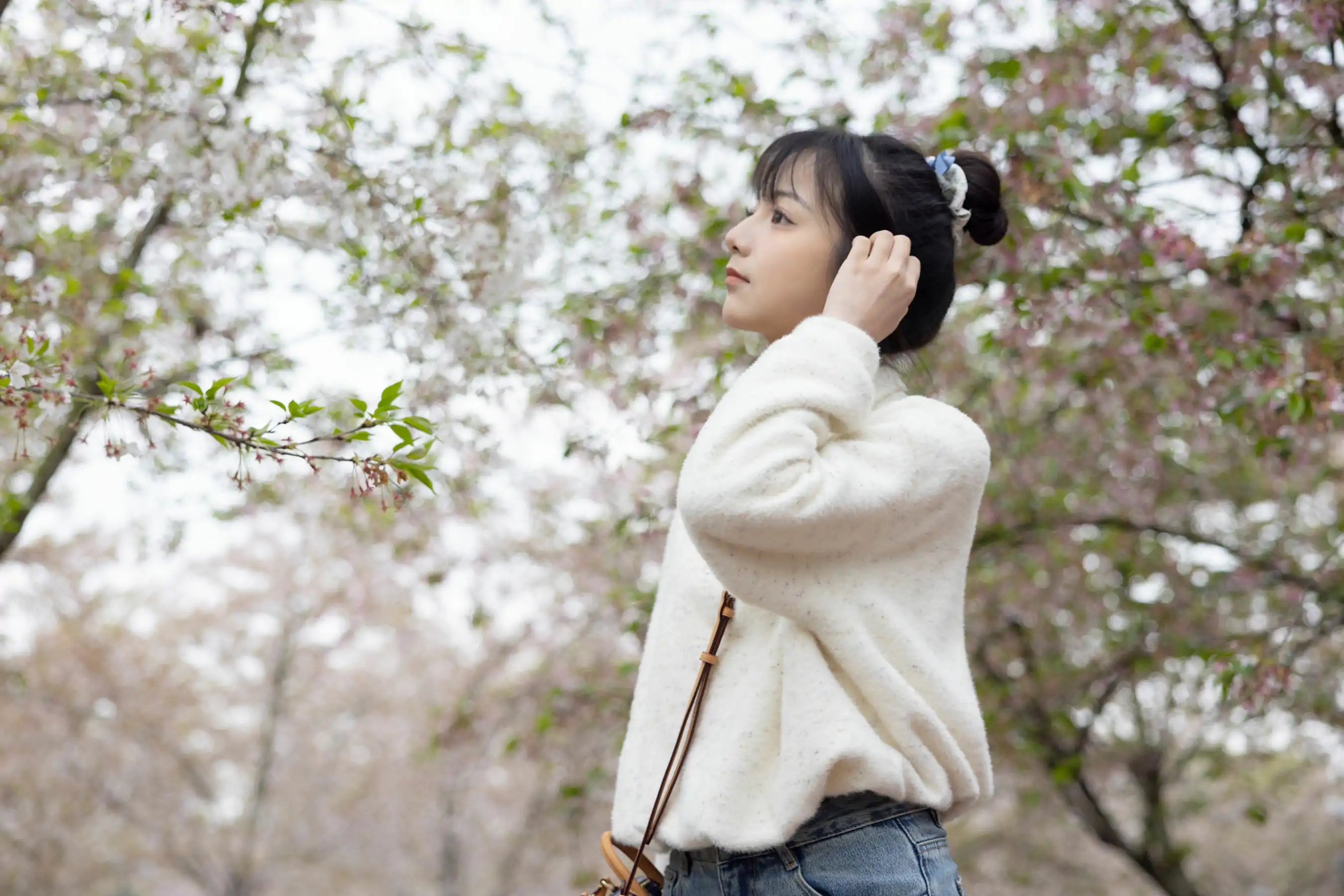 她们印象 No.015 天天