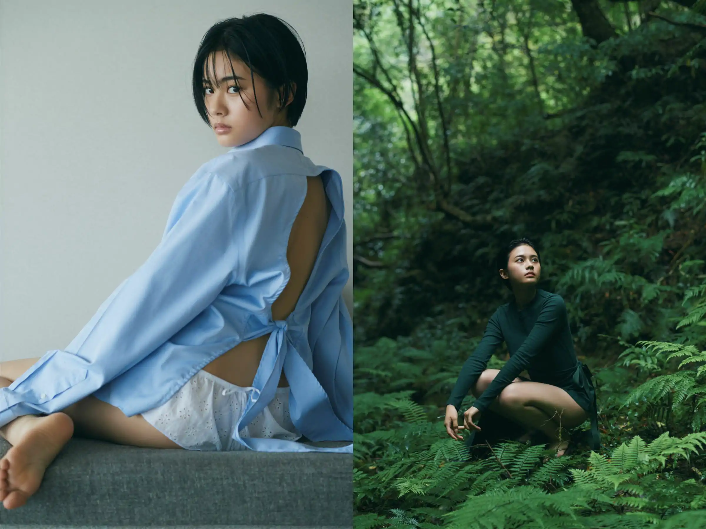 安斉星来 - Sirius