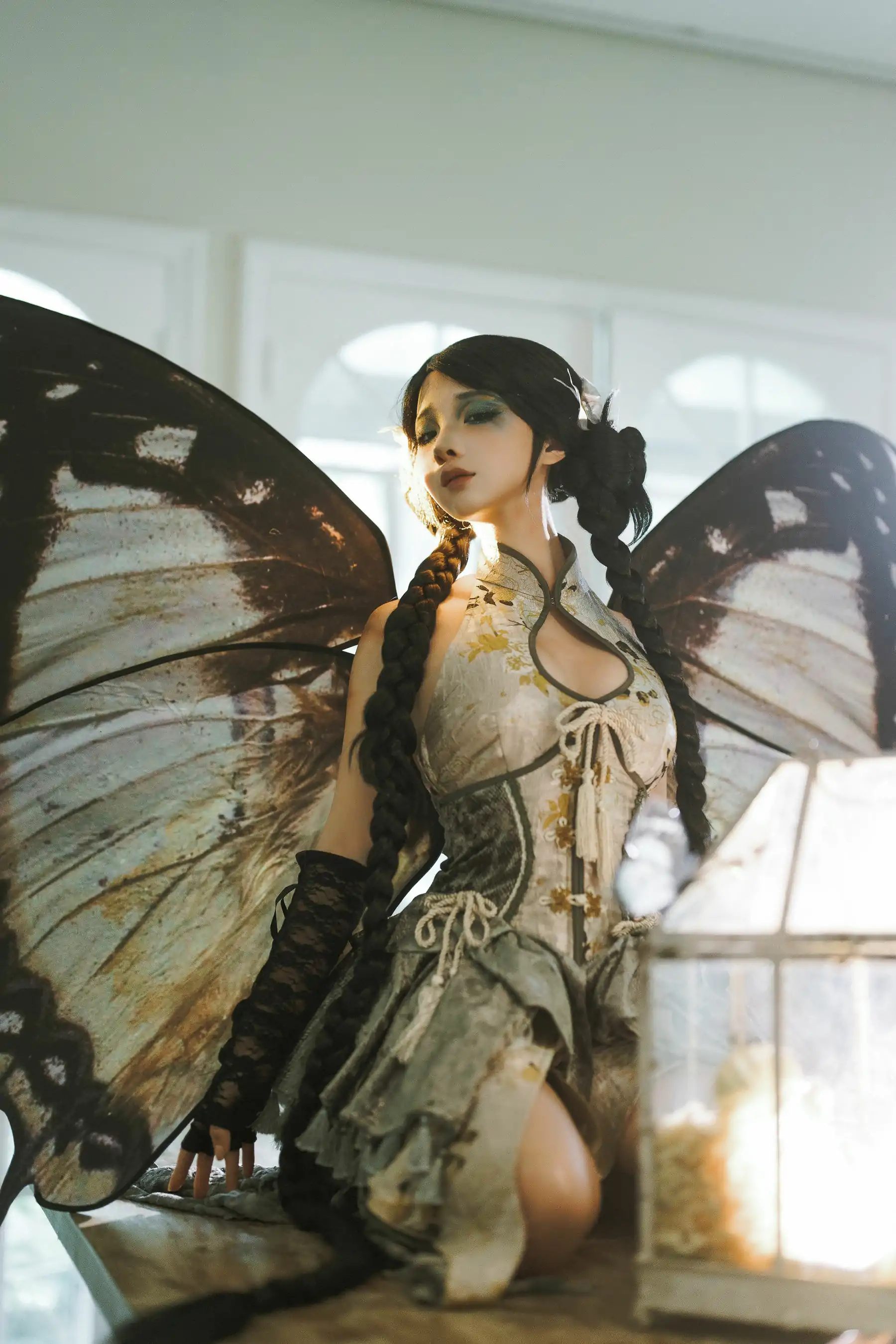 动漫博主蠢沫沫 - 枯叶蝶