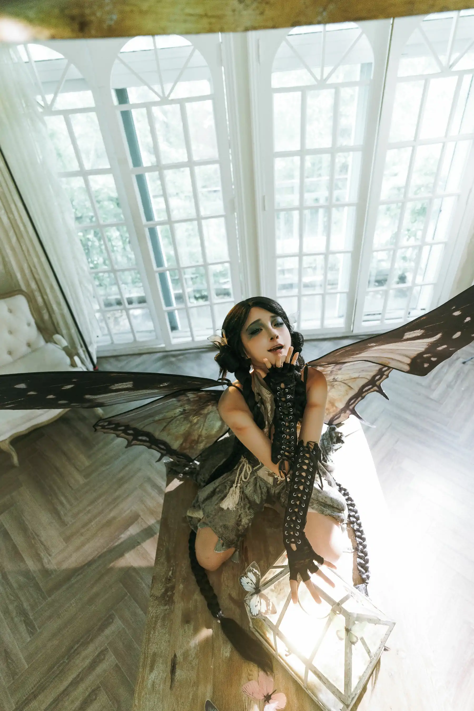 动漫博主蠢沫沫 - 枯叶蝶