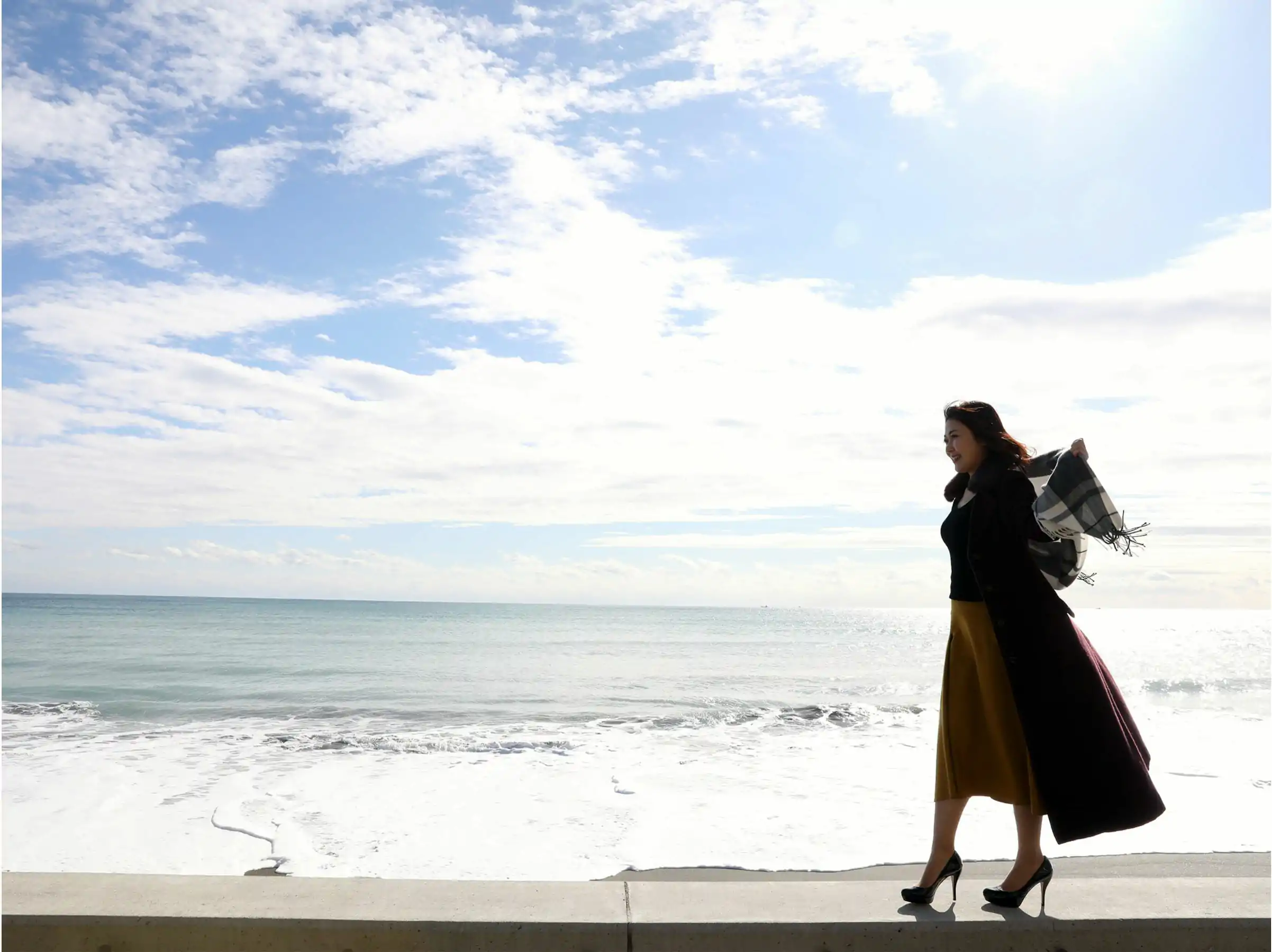 花崎阿弓 - 現役美女アナの初裸身