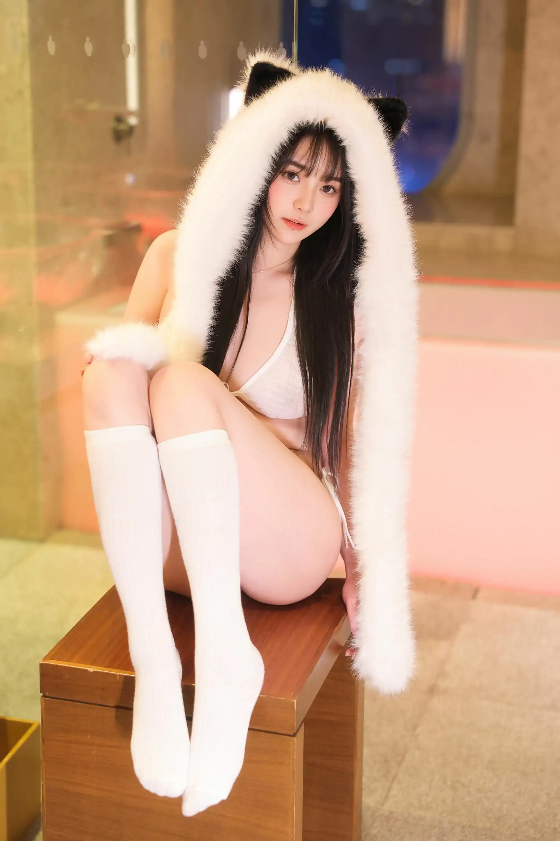 软情 - 白色小猫咪