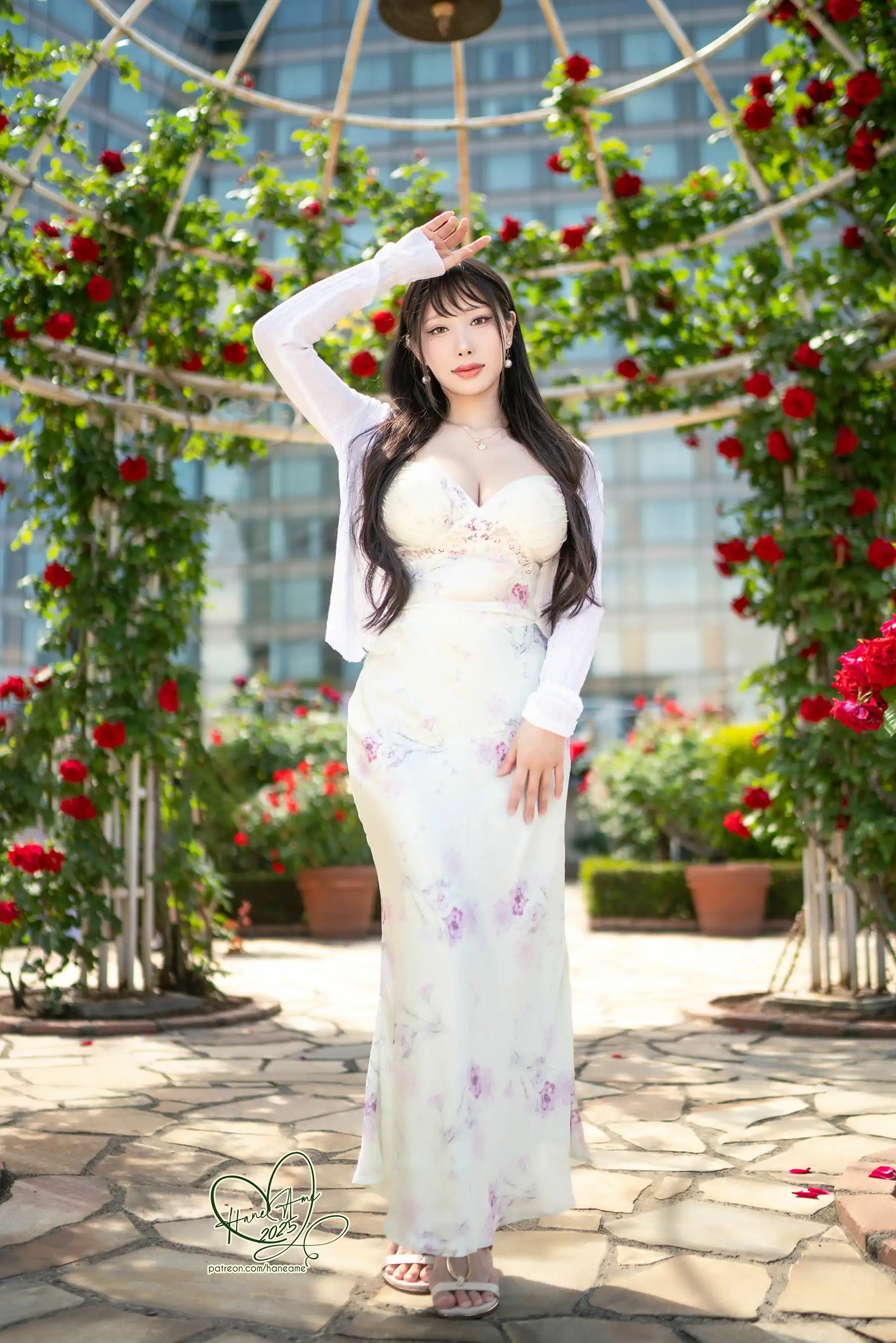 Hane Ame 雨波 写真 - 玫瑰刚好绽放