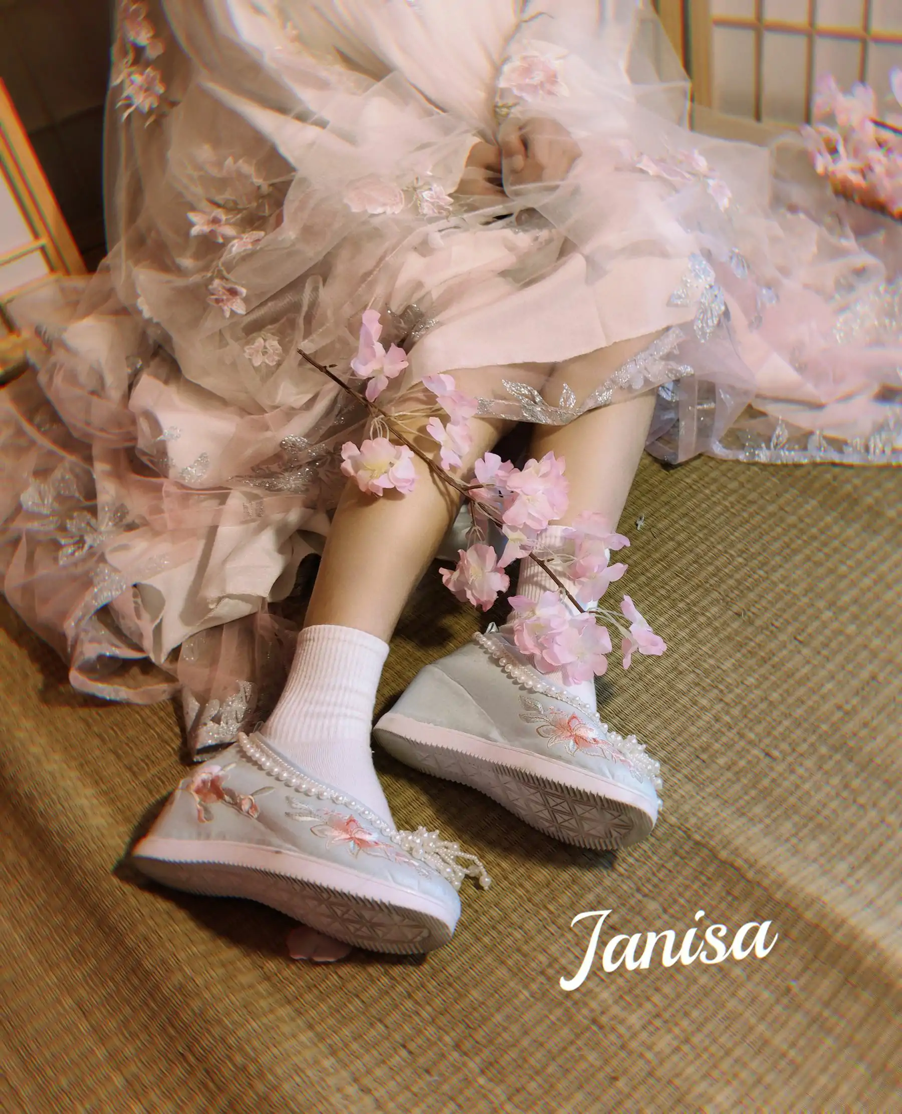 Janisa - 朝花向晚 