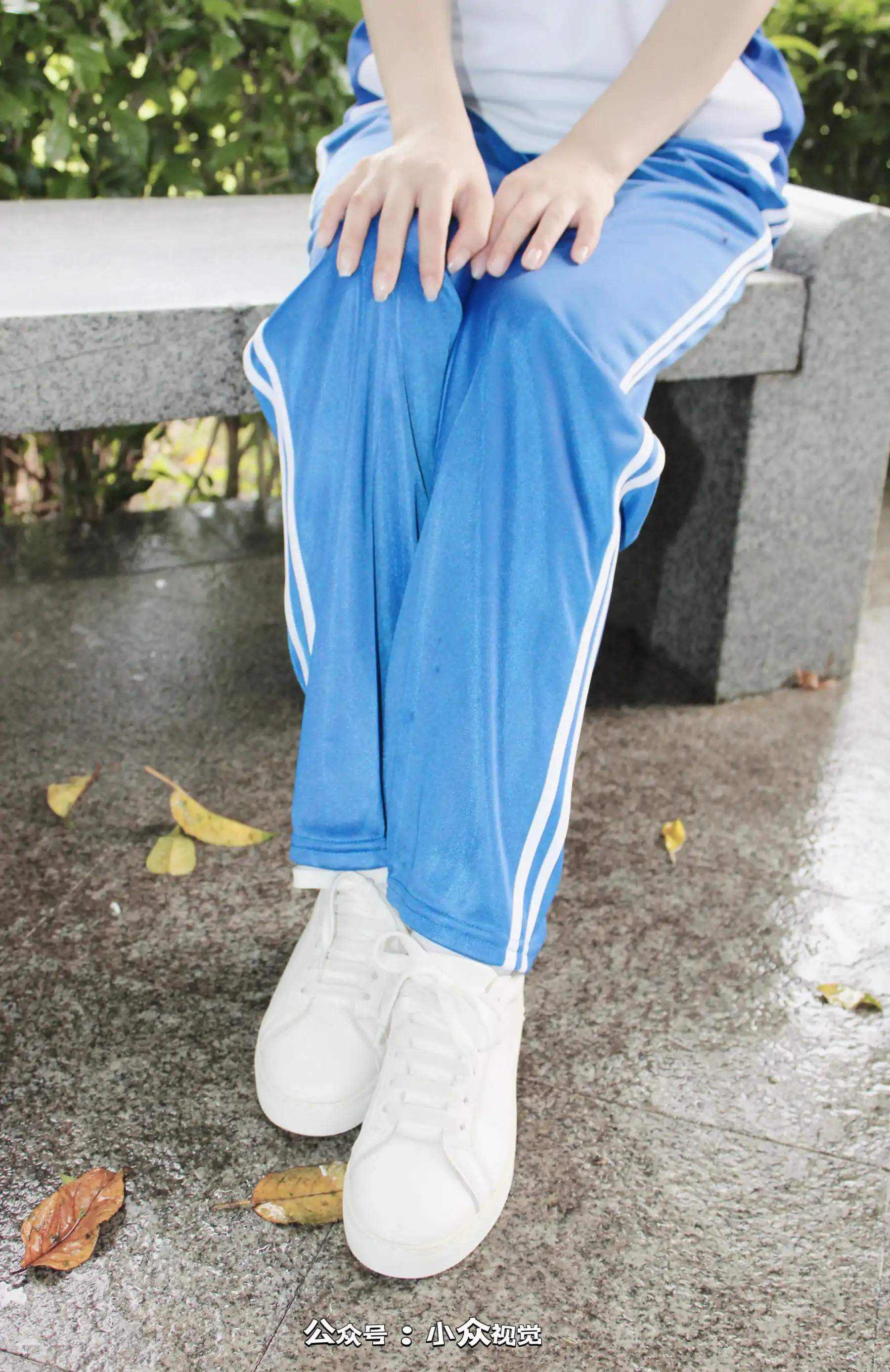 小众视觉 NO.0013 小薯条