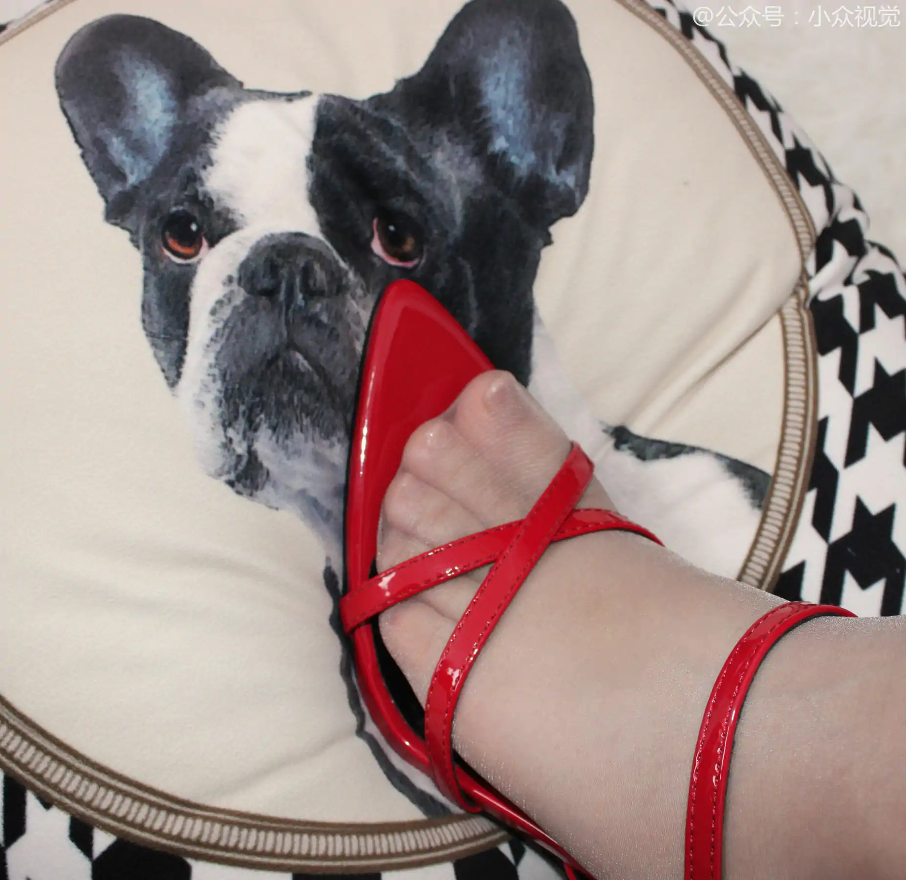 小众视觉 No.0004 玲玲