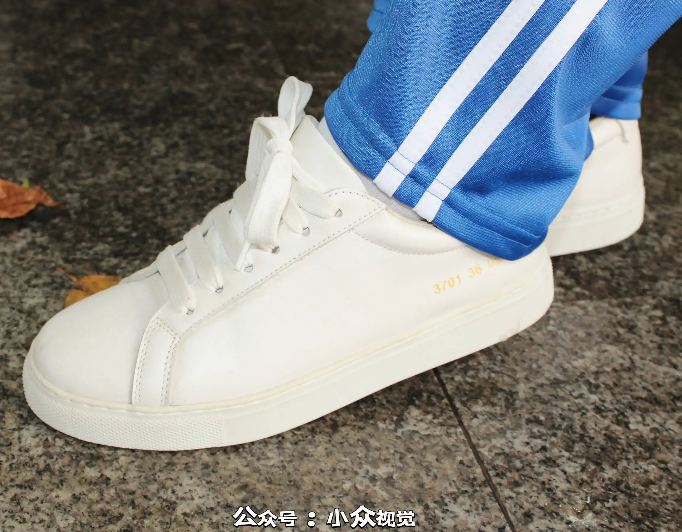 小众视觉 NO.0013 小薯条