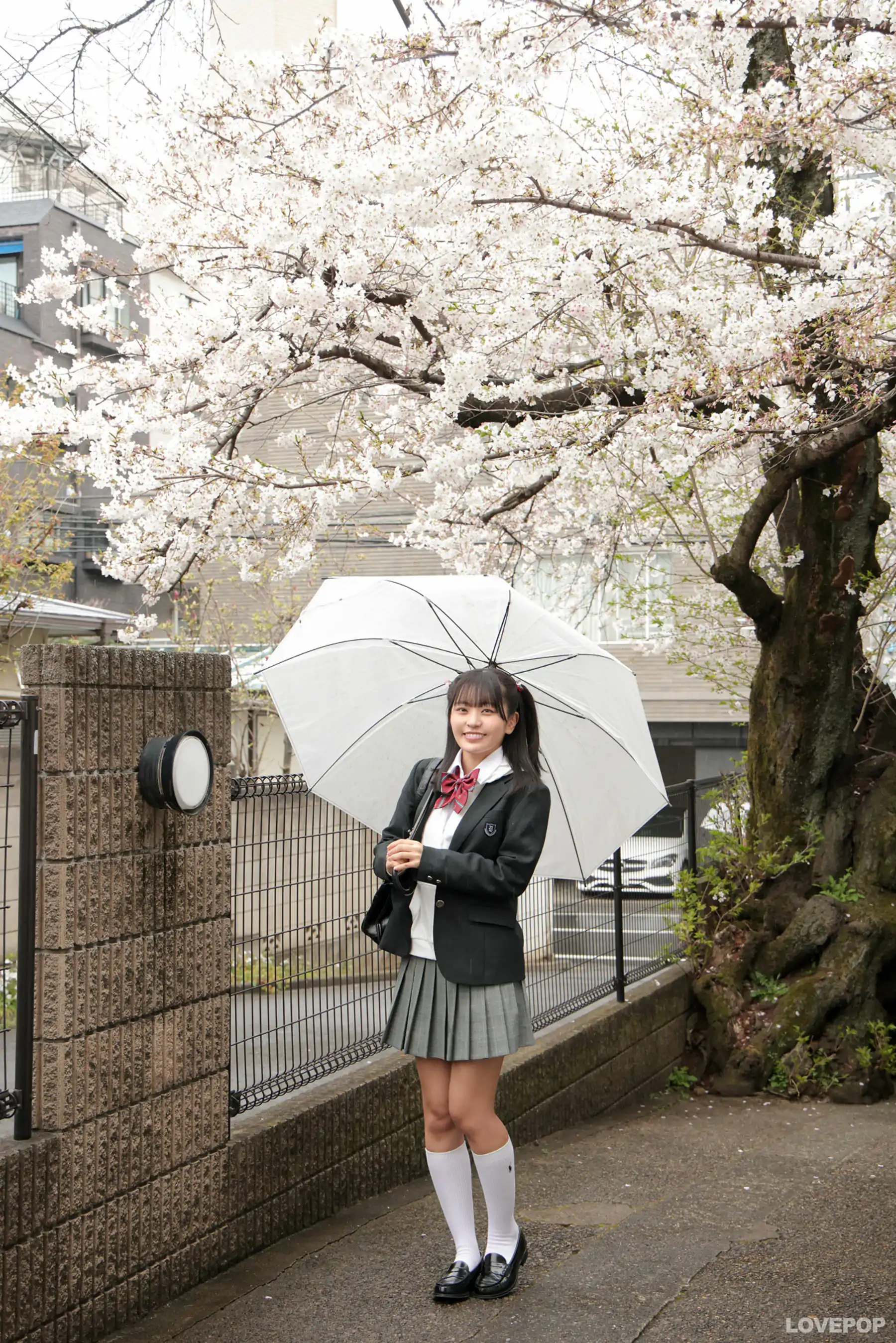 [LOVEPOP] Choco Sasaki 佐々木ちょこ Photoset 03