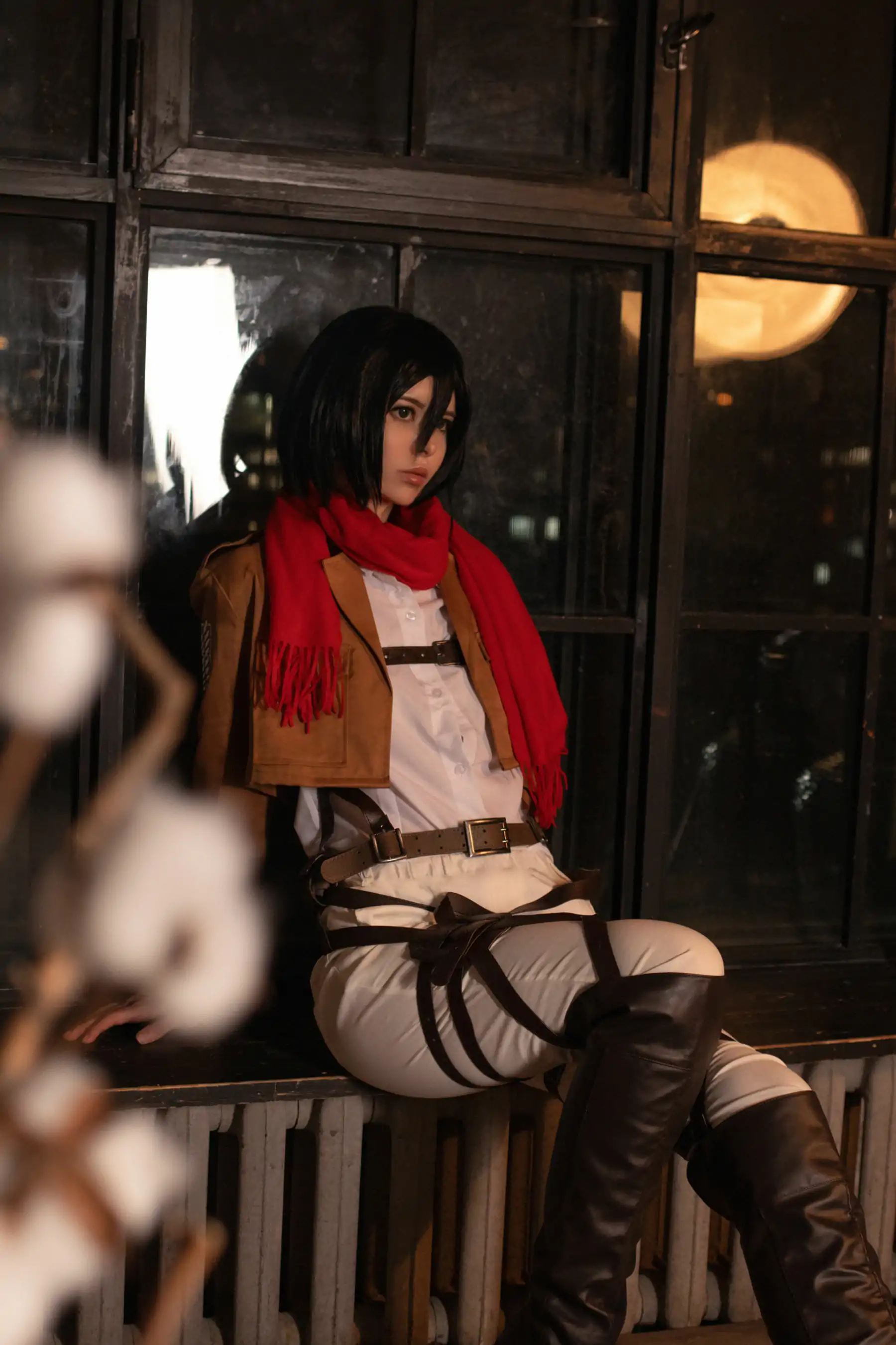 Vinnegal - Mikasa
