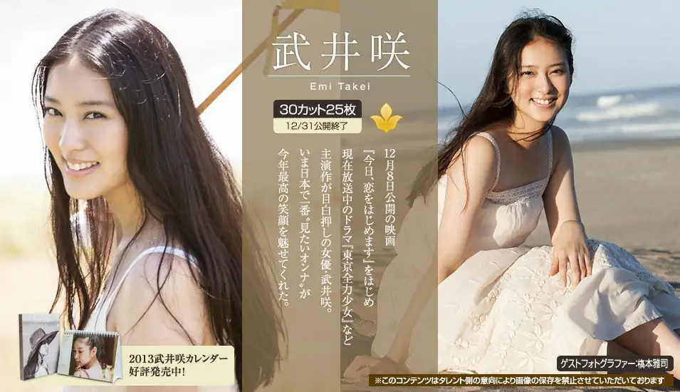 武井咲 Emi Takei 《2012年12月刊号》 [Image.tv] 