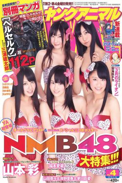 NMB48 山本彩 福本爱菜 [Young Animal] 2012年No.04 写真杂志(23P)-杂志