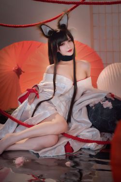 [Cosplay写真] 动漫博主铁板烧鬼舞w – 赤城(20P)-图云谷