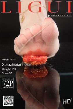 [丽柜Ligui] 网络丽人 Model 小智贤(57P)-图云谷